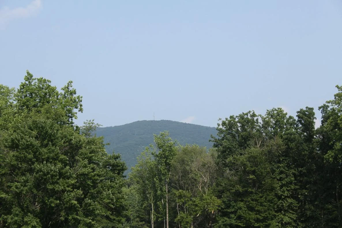 Lot 508 South View CIR - Photo 3