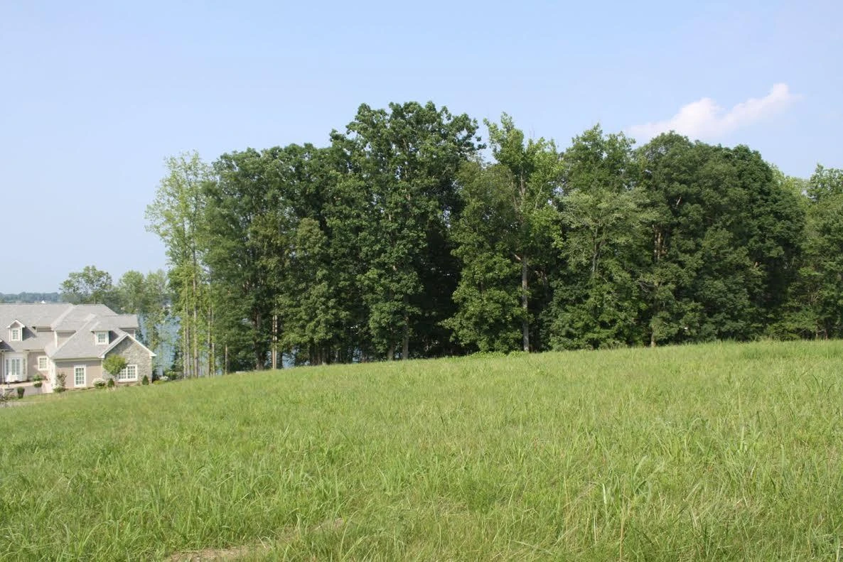 Lot 508 South View CIR - Photo 4