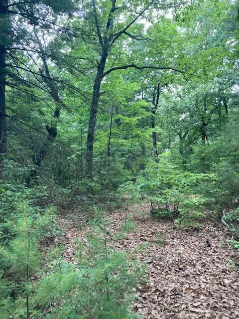 0 Ridgefield LN - Photo 4