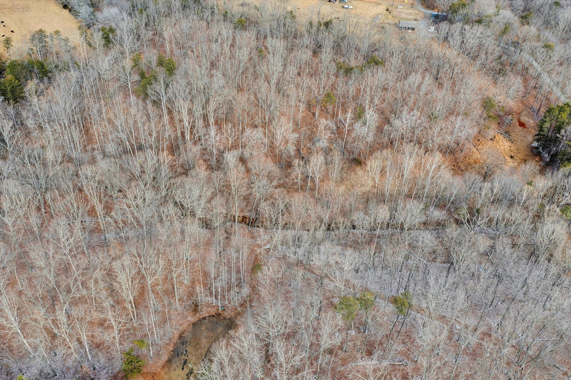 Lots 23,24 Knollwood DR - Photo 5
