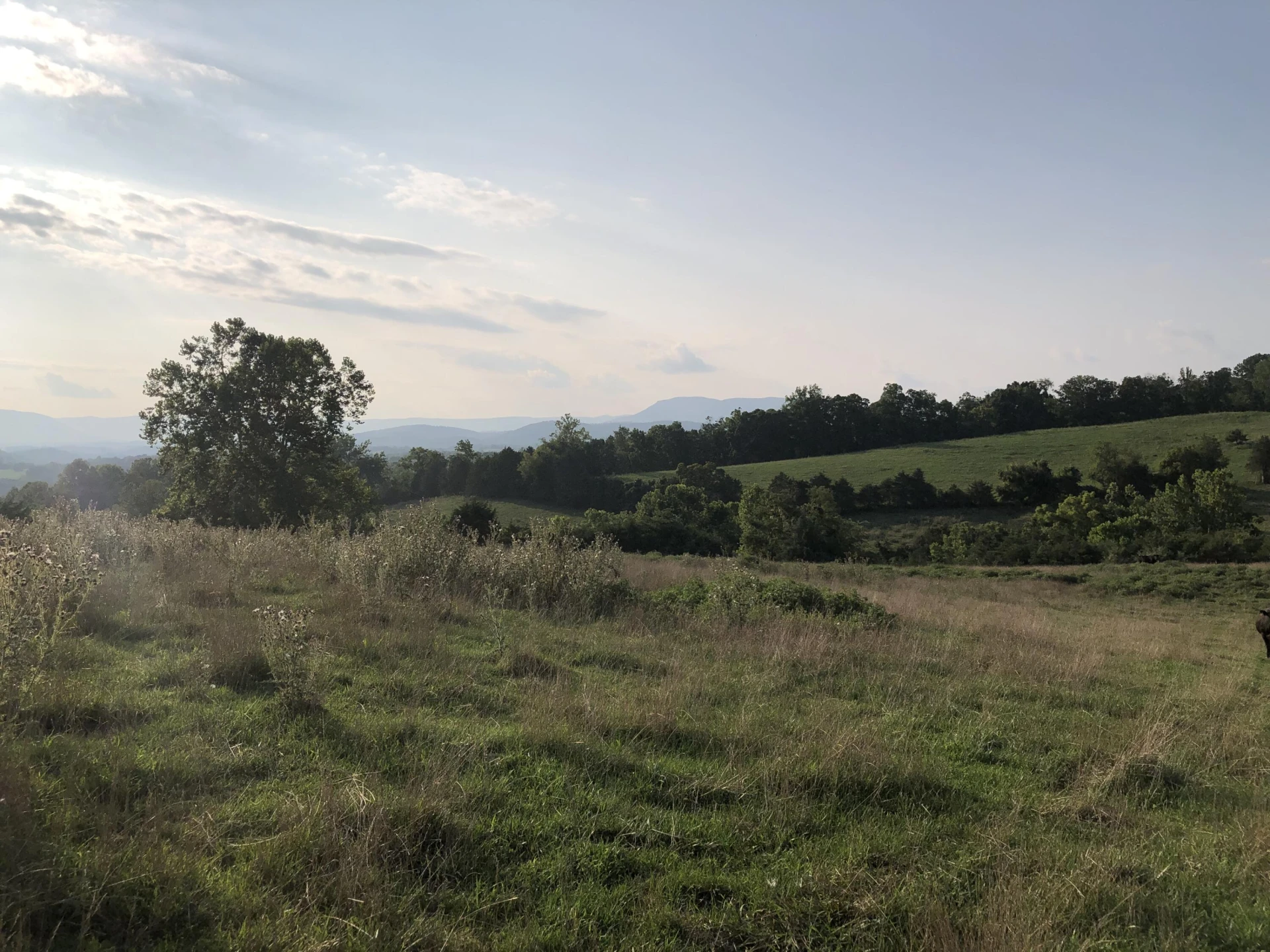 00 Stagecoach LN - Photo 17