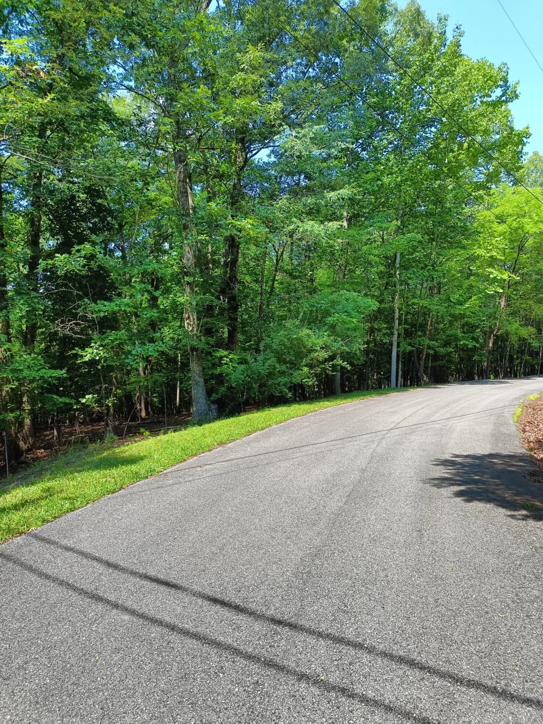 Lot 59 Old Barn RD