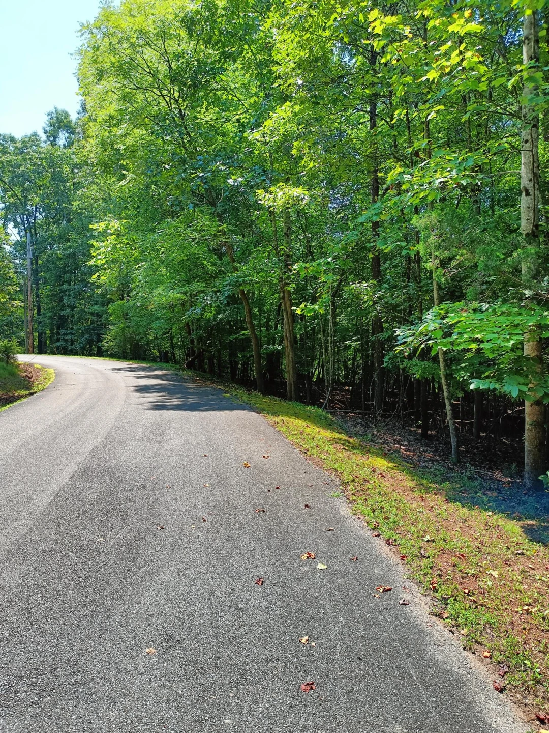Lot 59 Old Barn RD - Photo 2
