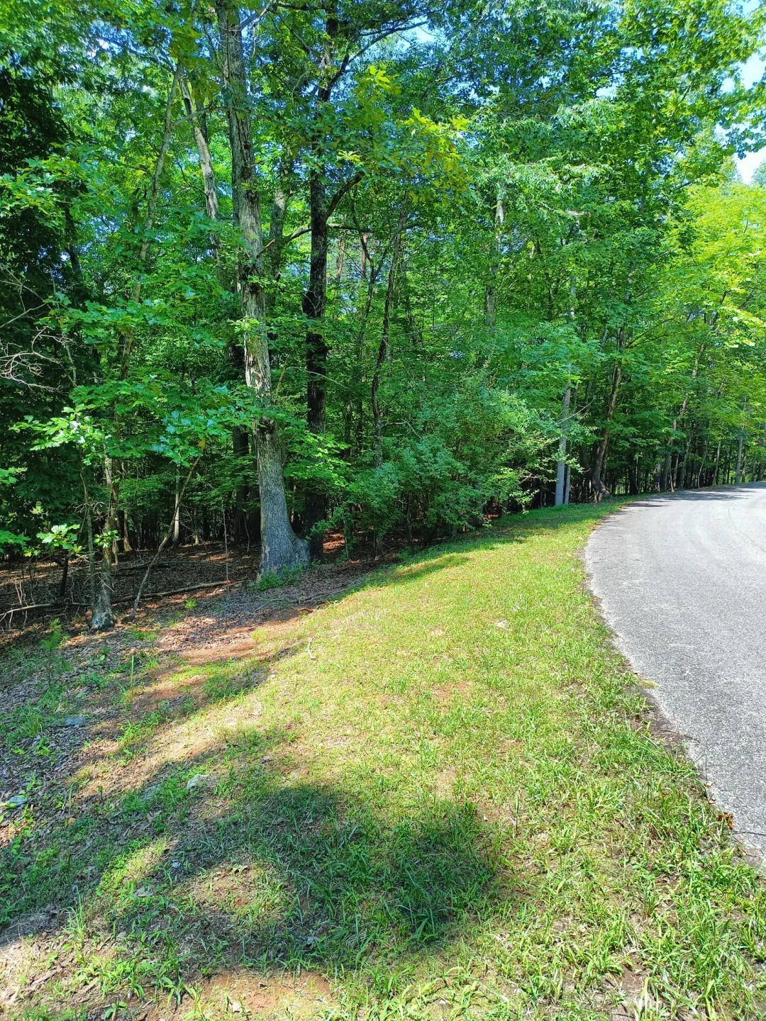 Lot 59 Old Barn RD - Photo 3