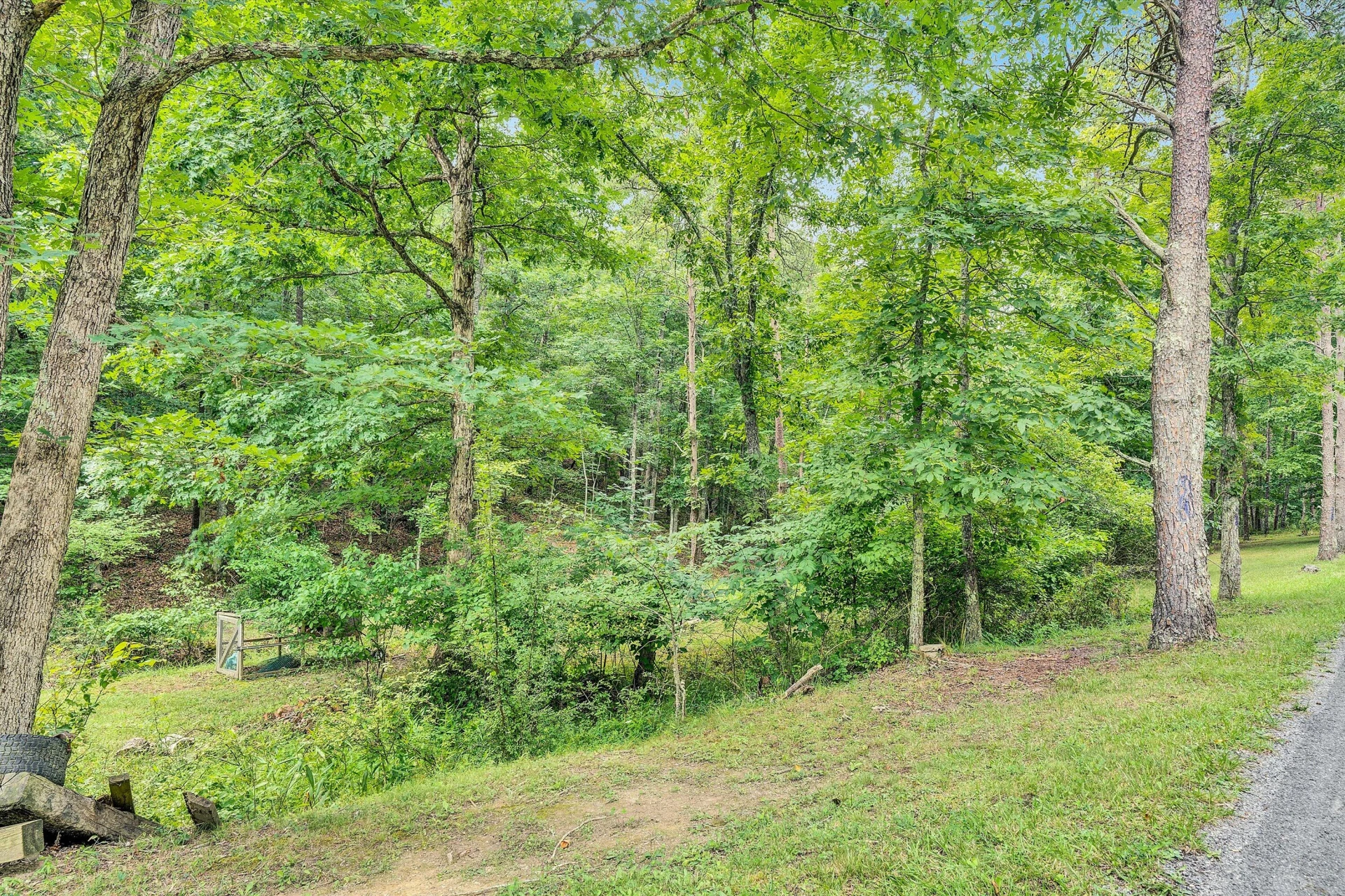 4054 Peaceful Valley RD - Photo 3