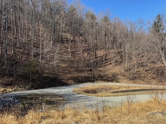 8708 Martins Creek RD - Photo 37