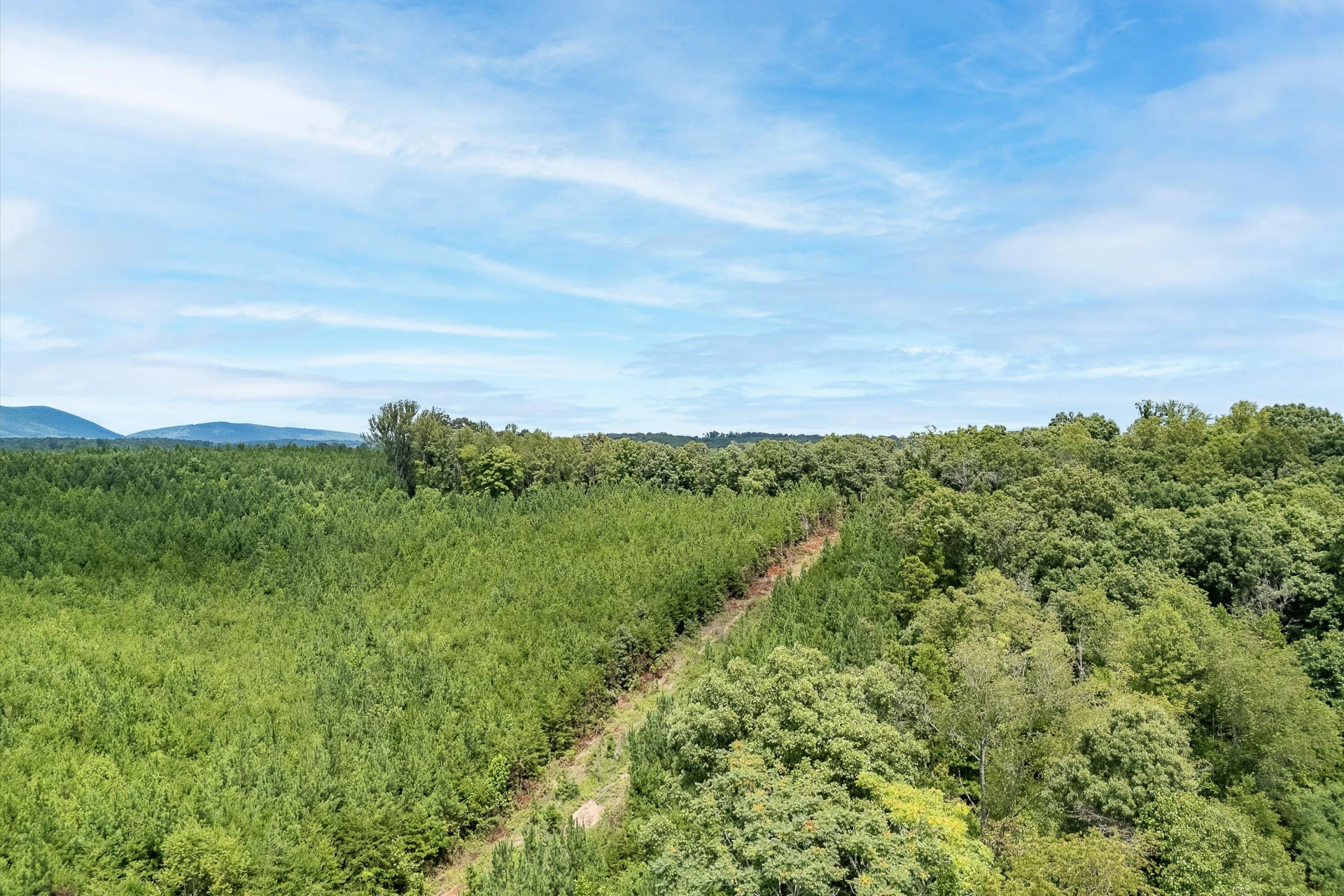 0 Grassland DR - Photo 12