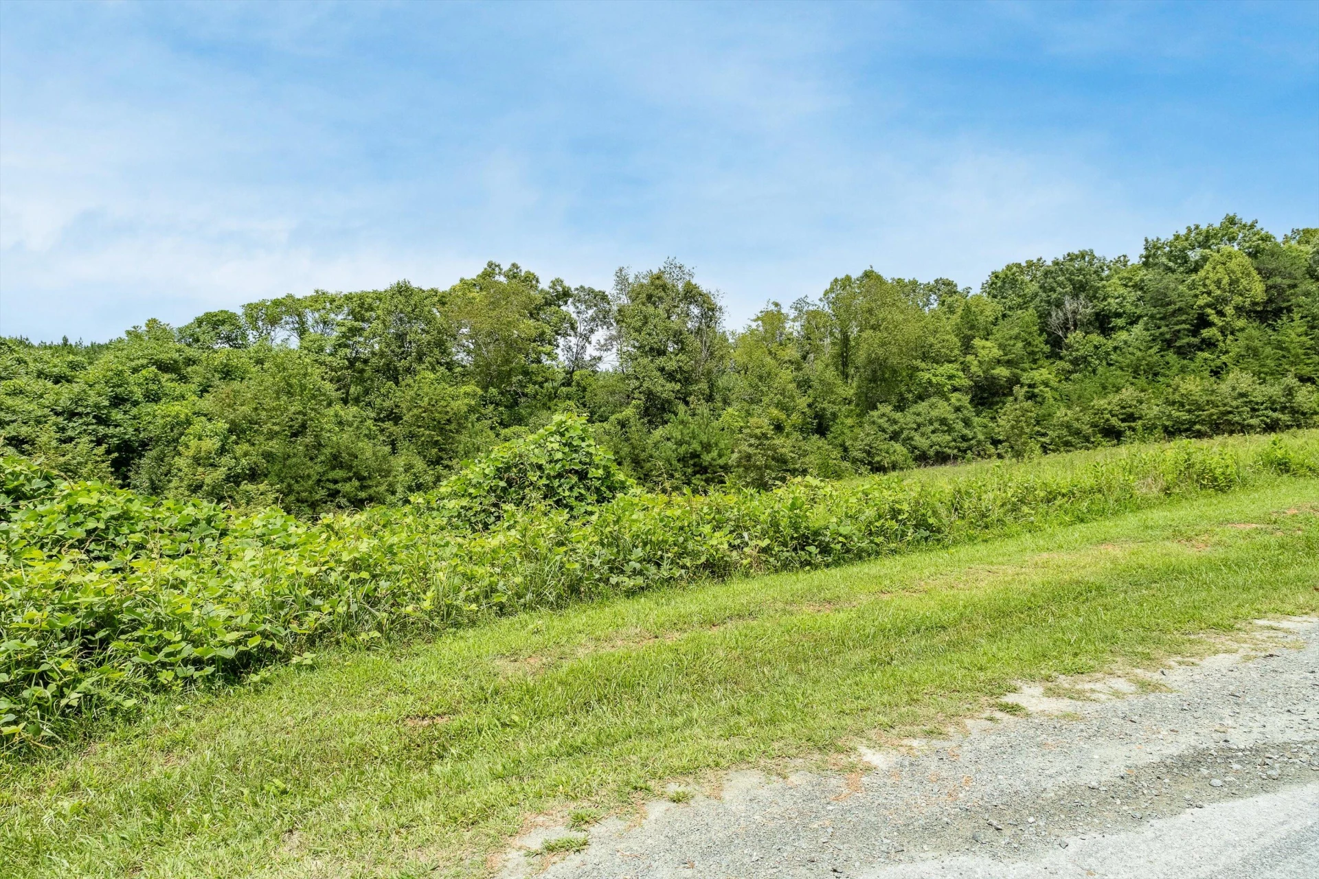 0 Grassland DR - Photo 13