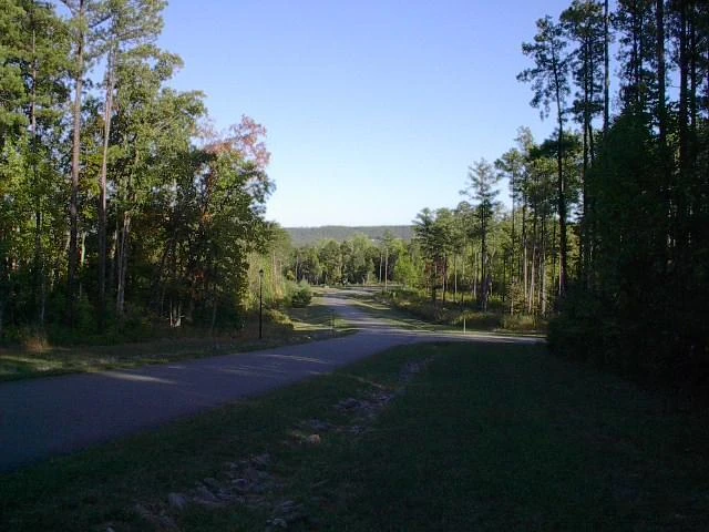 Lot 121 Chase Run - Photo 54