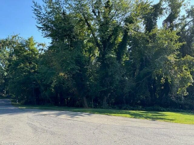 700 Stonewall ST - Photo 2