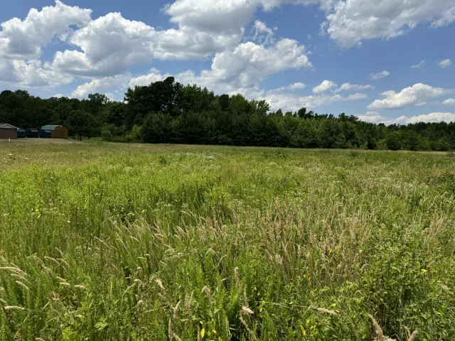 0 Hwy Forty Seven, Chase City, VA, 23924