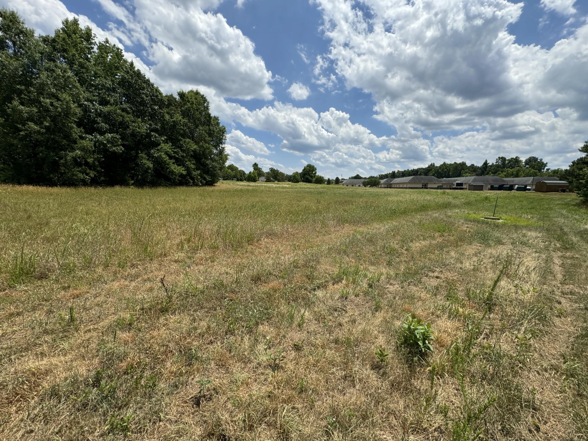 0 Hwy Forty Seven - Photo 2
