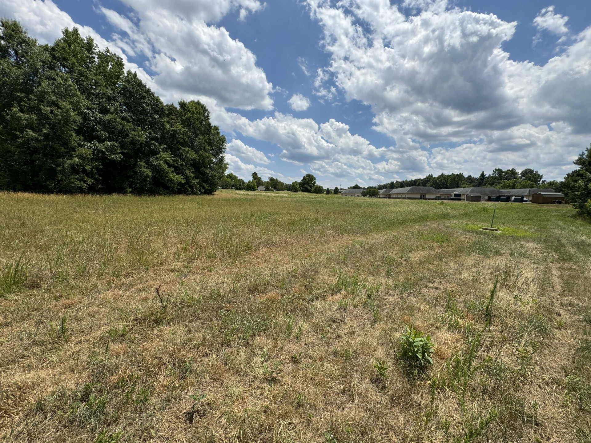 0 Hwy Forty Seven - Photo 3