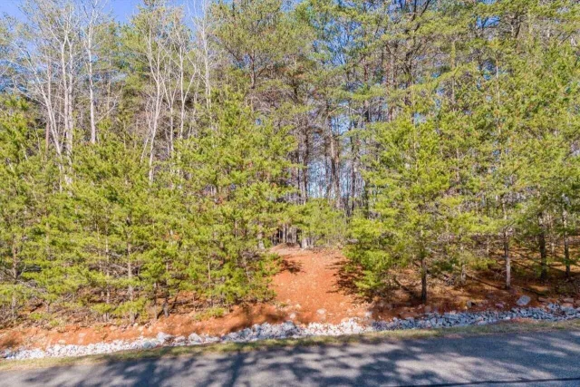 Lot 61 Garrison Ridge, Pittsville, VA, 24139