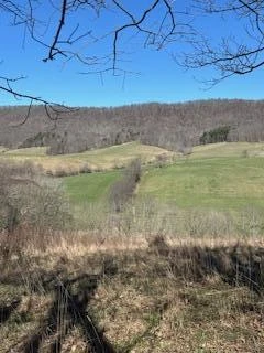 Lot 13 Little Mountain RD - Photo 3