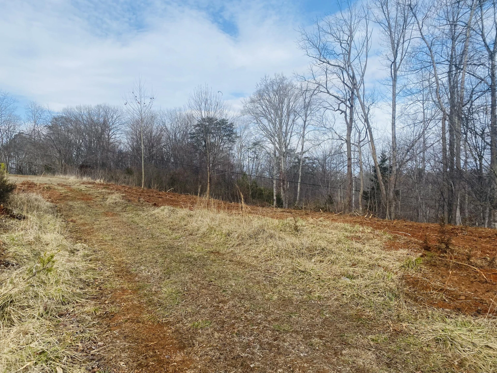 Lot 3 Horseshoe Bend RD - Photo 2