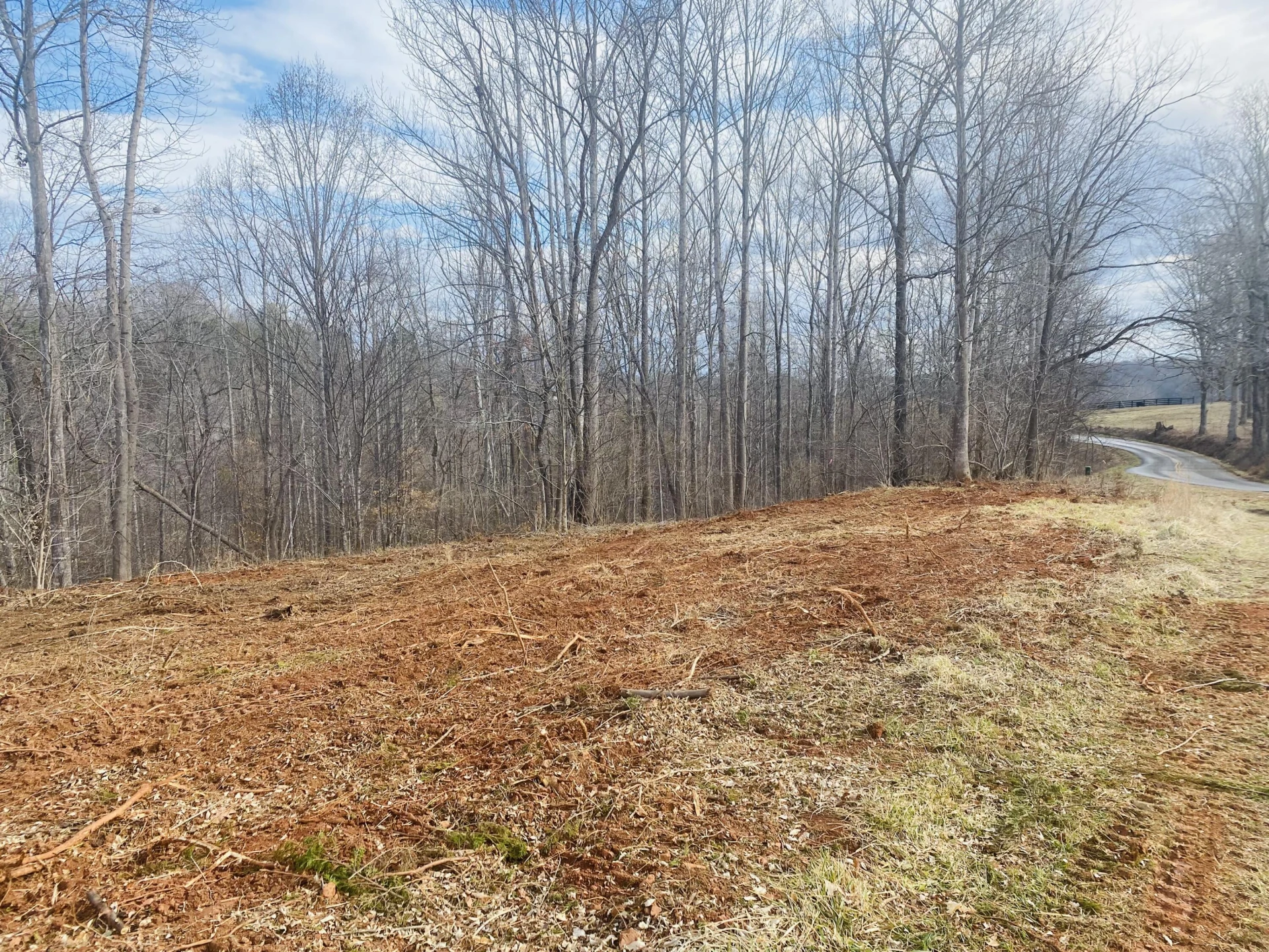 Lot 3 Horseshoe Bend RD - Photo 3