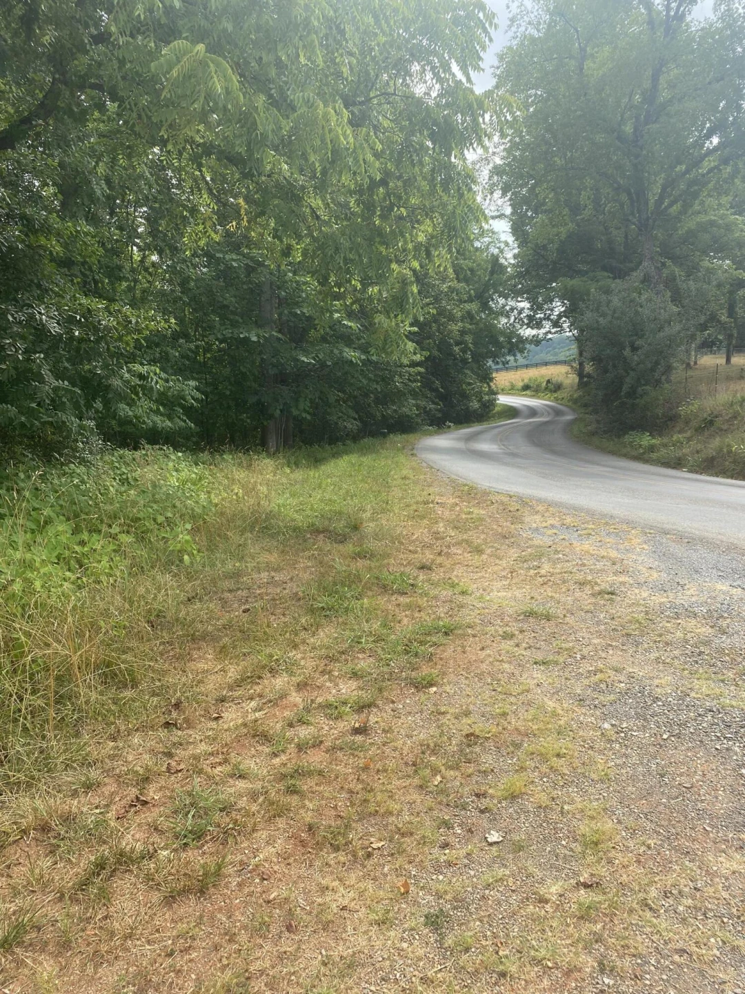 Lot 3 Horseshoe Bend RD - Photo 4