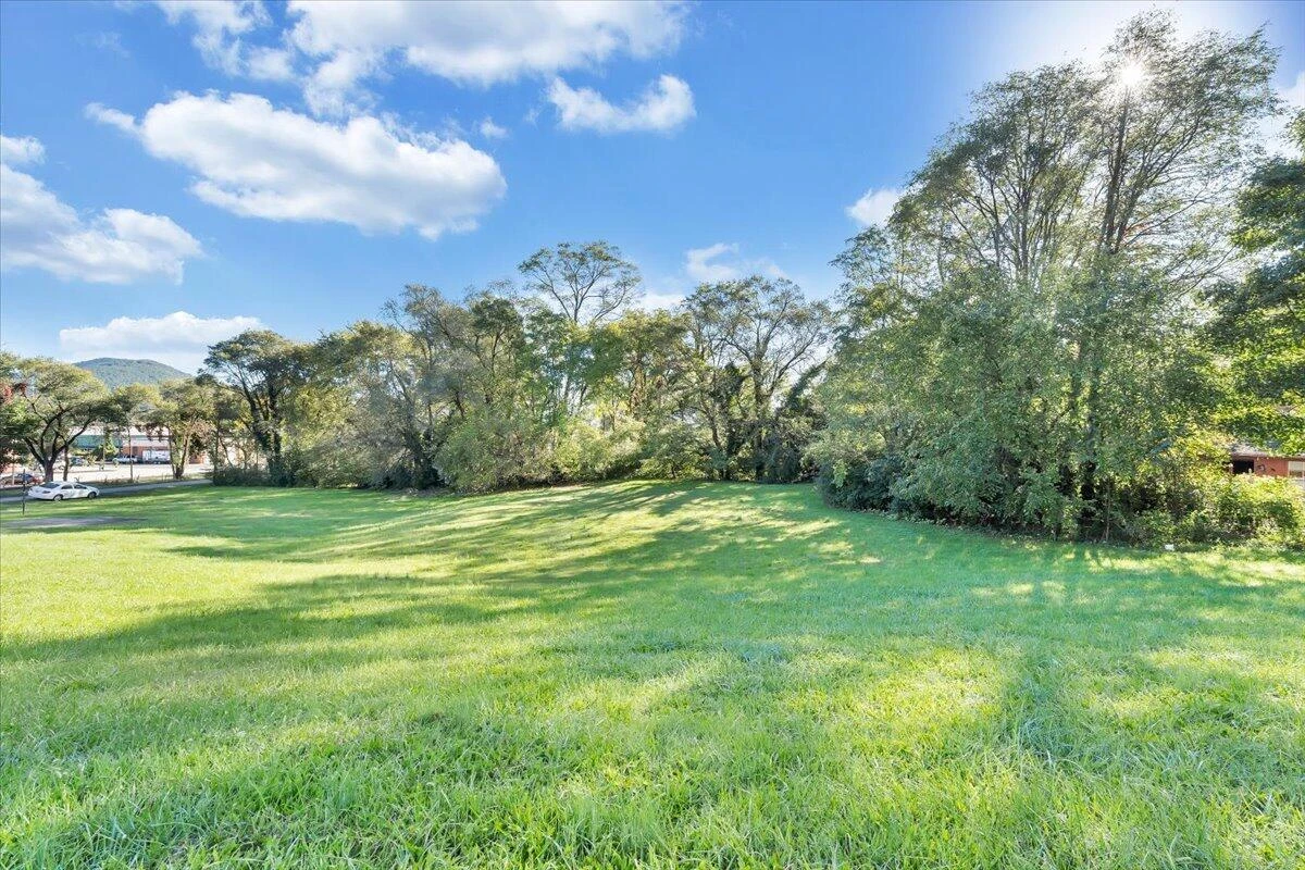 2,3,4 Plantation RD - Photo 9