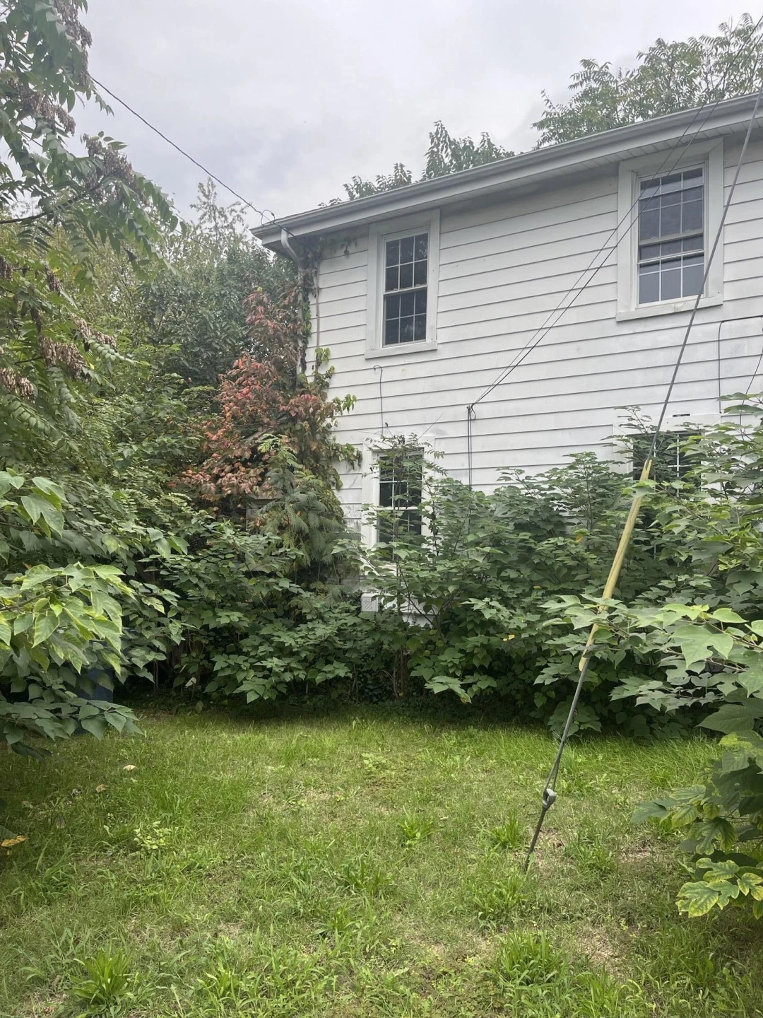 802 Morrill AVE - Photo 2