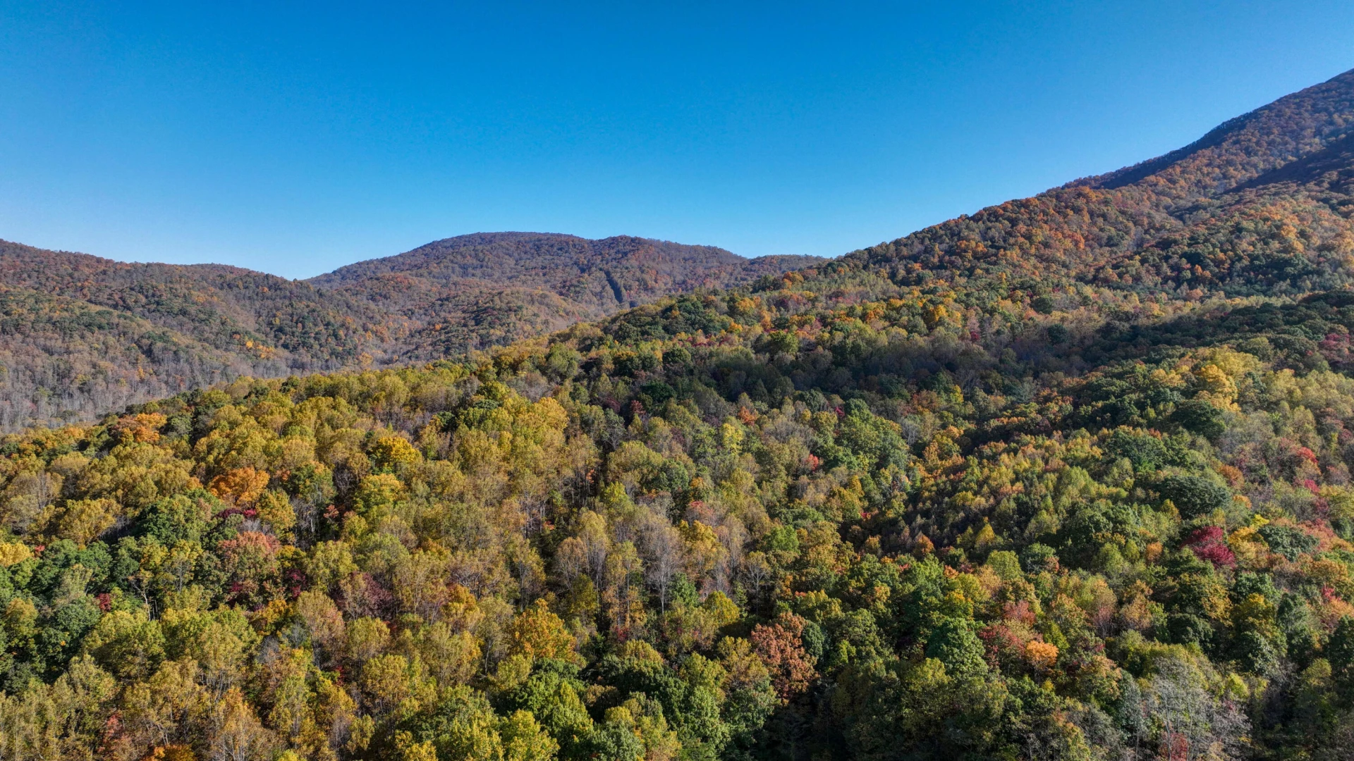 2695 Owl Town RD - Photo 26