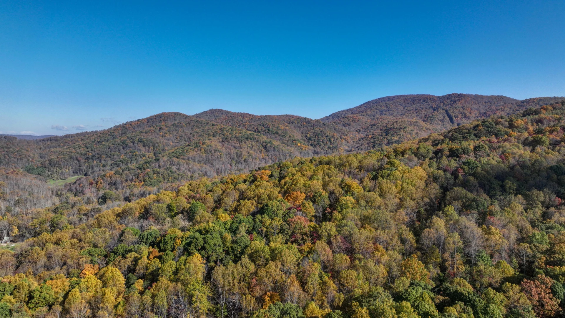 2695 Owl Town RD - Photo 5