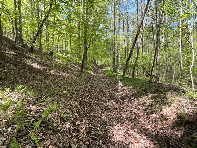 0 Mountain Ridge RD - Photo 10