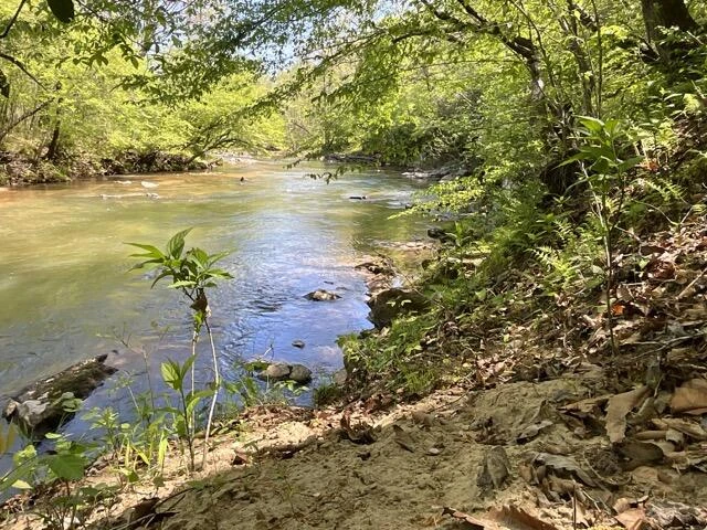 0 Mountain Ridge RD - Photo 14