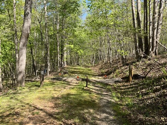 0 Mountain Ridge RD - Photo 23