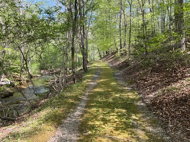0 Mountain Ridge RD - Photo 5