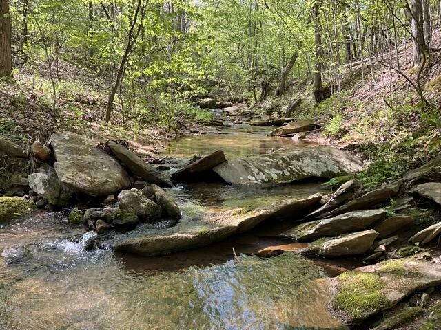 0 Mountain Ridge RD - Photo 9
