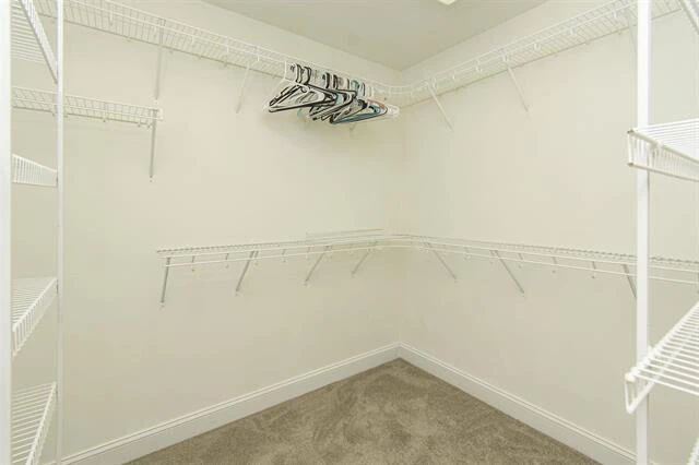 755 Honeysuckle RD - Photo 30