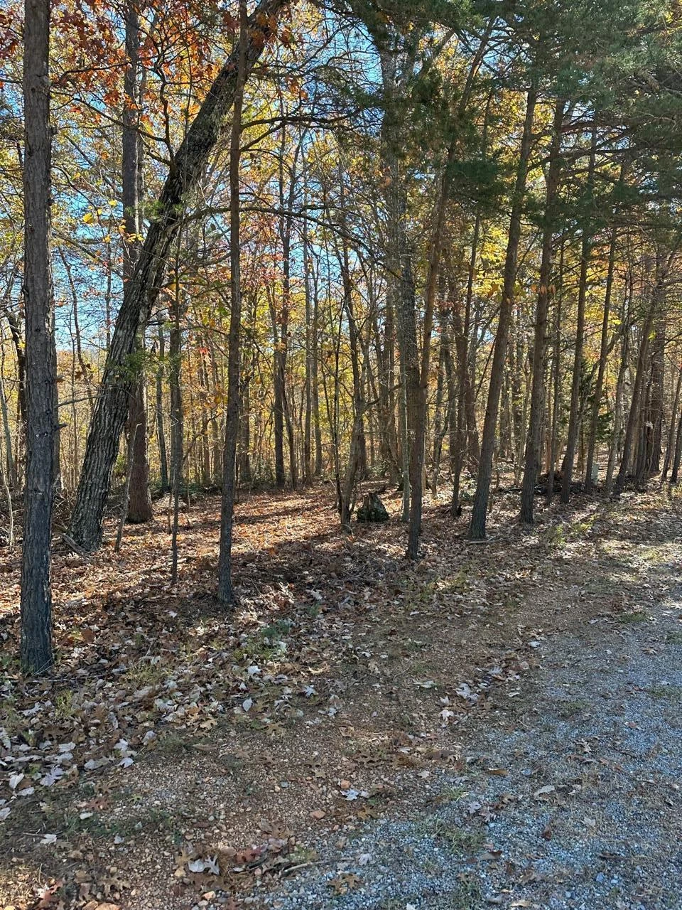 0 Mountwood DR - Photo 17