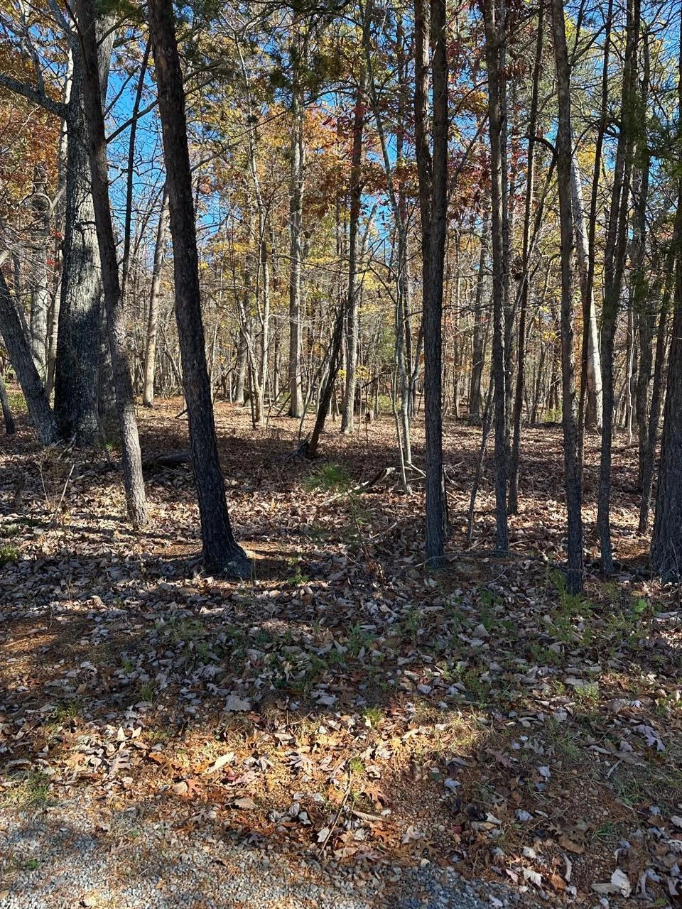 0 Mountwood DR - Photo 18