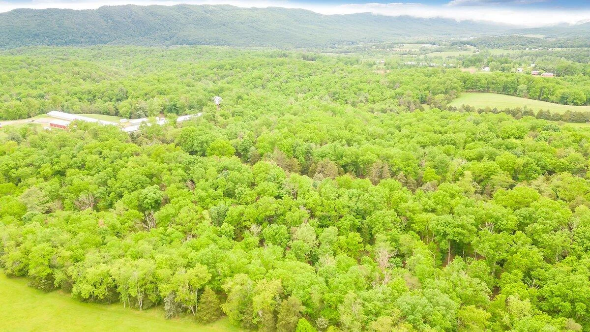 11131 Acorn LN - Photo 53