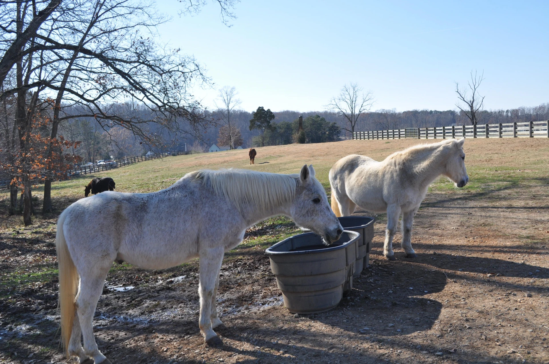 LOT 29 Waters Edge DR - Photo 6