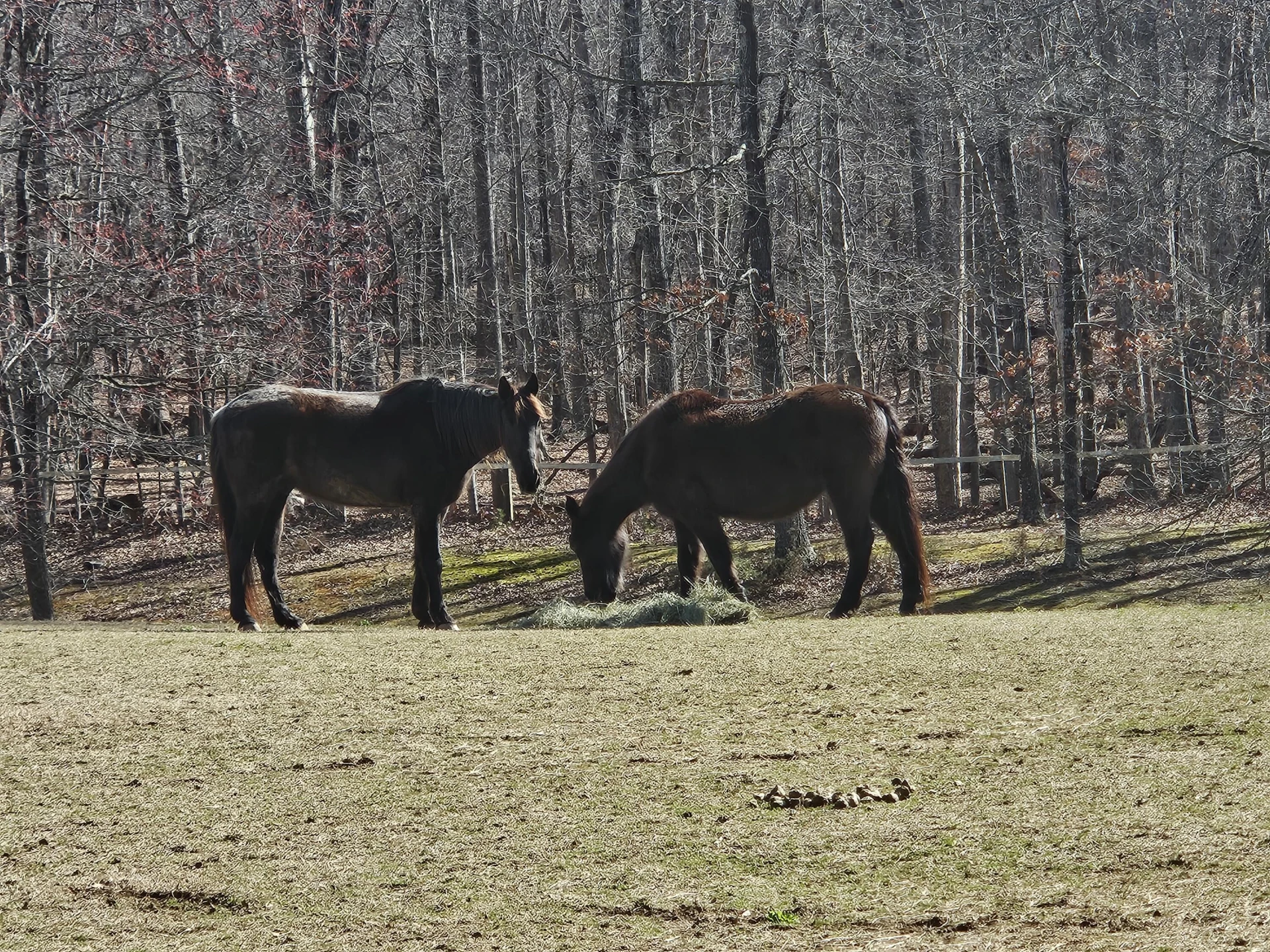 LOT 474 Southwood DR - Photo 21