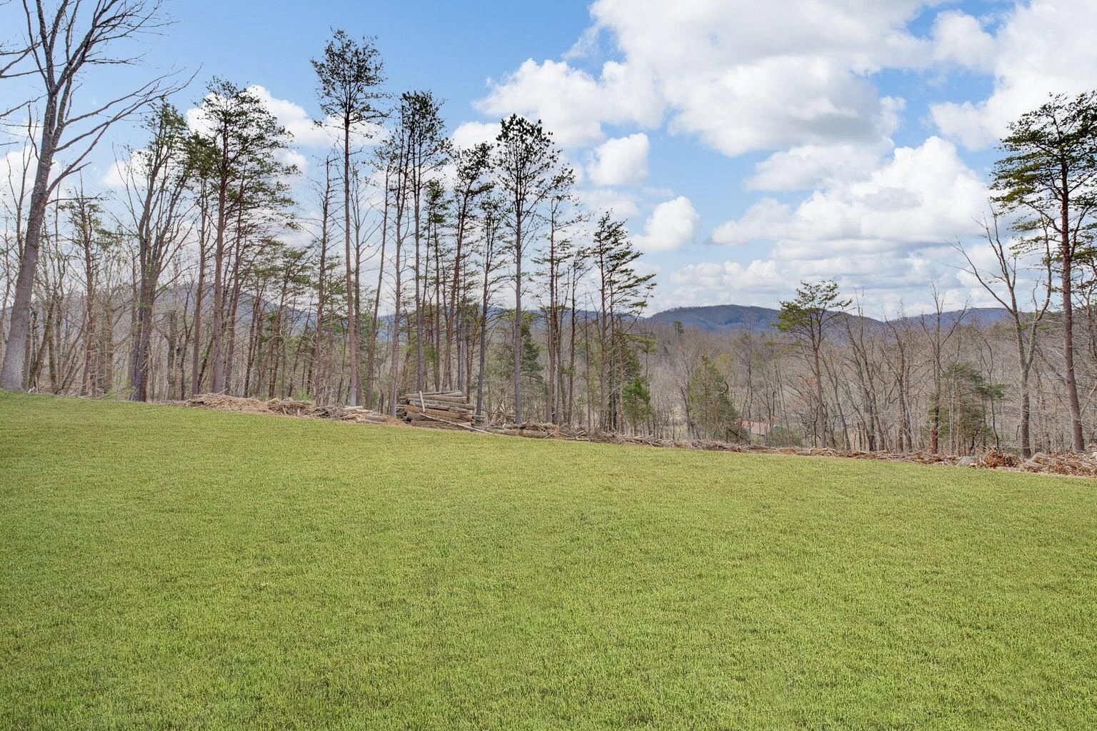 6427 Bent Mountain RD - Photo 12