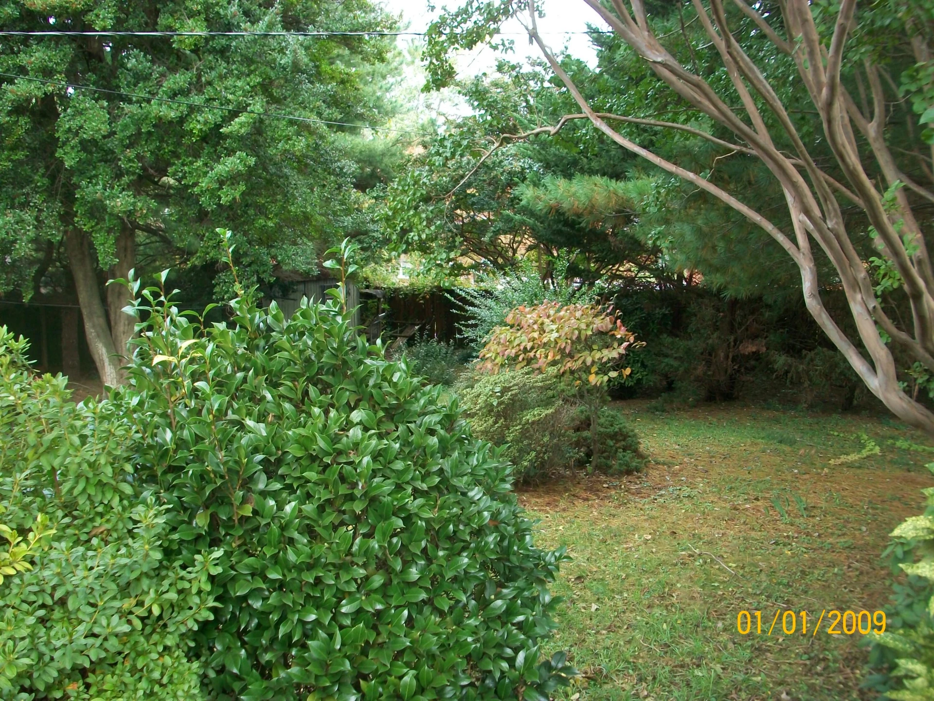 230 Crittendon AVE - Photo 23