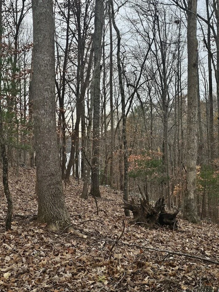 Lot 143 Oak Crest DR - Photo 42