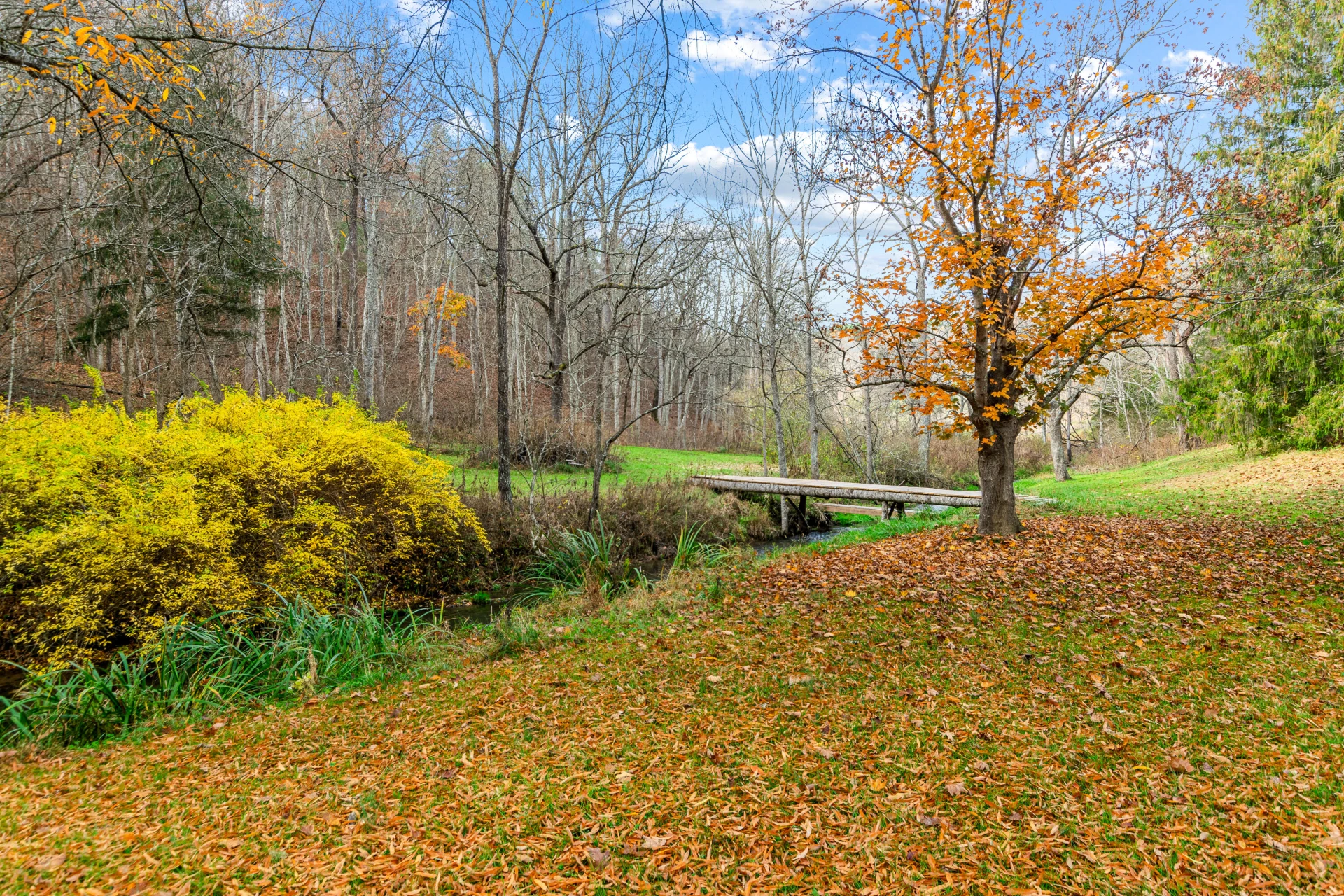 3210 Nolley RD - Photo 5