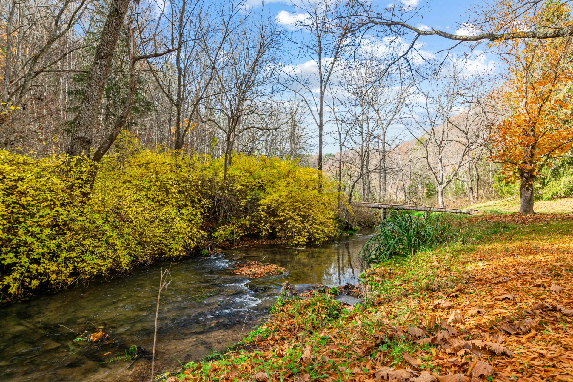 3210 Nolley RD - Photo 56