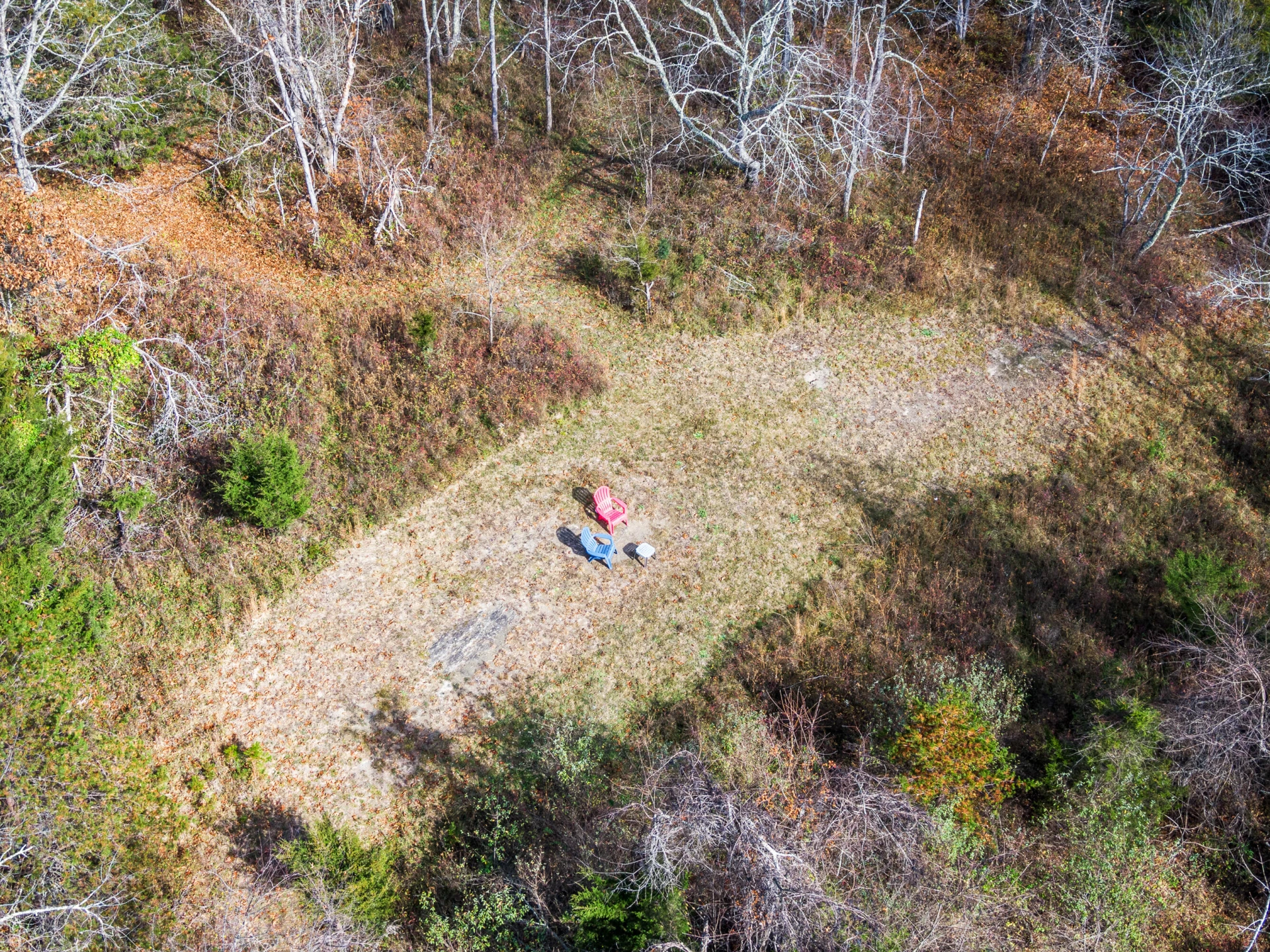 3210 Nolley RD - Photo 59