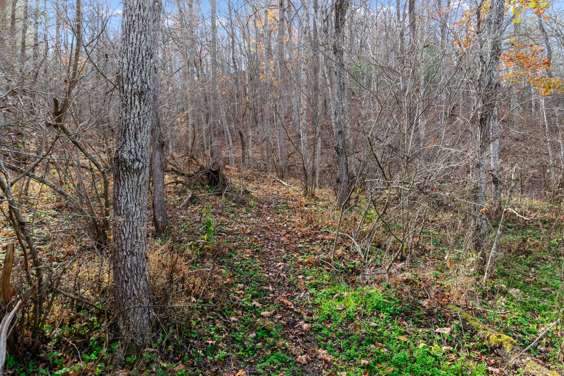 3210 Nolley RD - Photo 62
