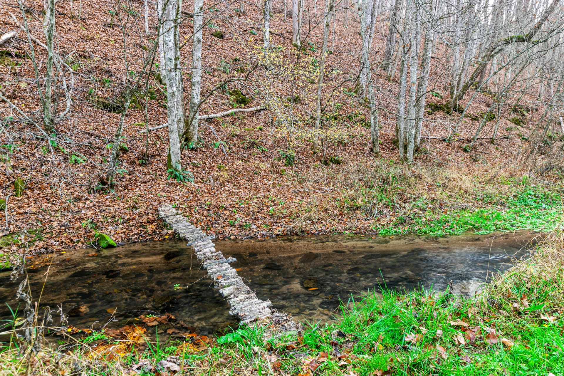 3210 Nolley RD - Photo 65