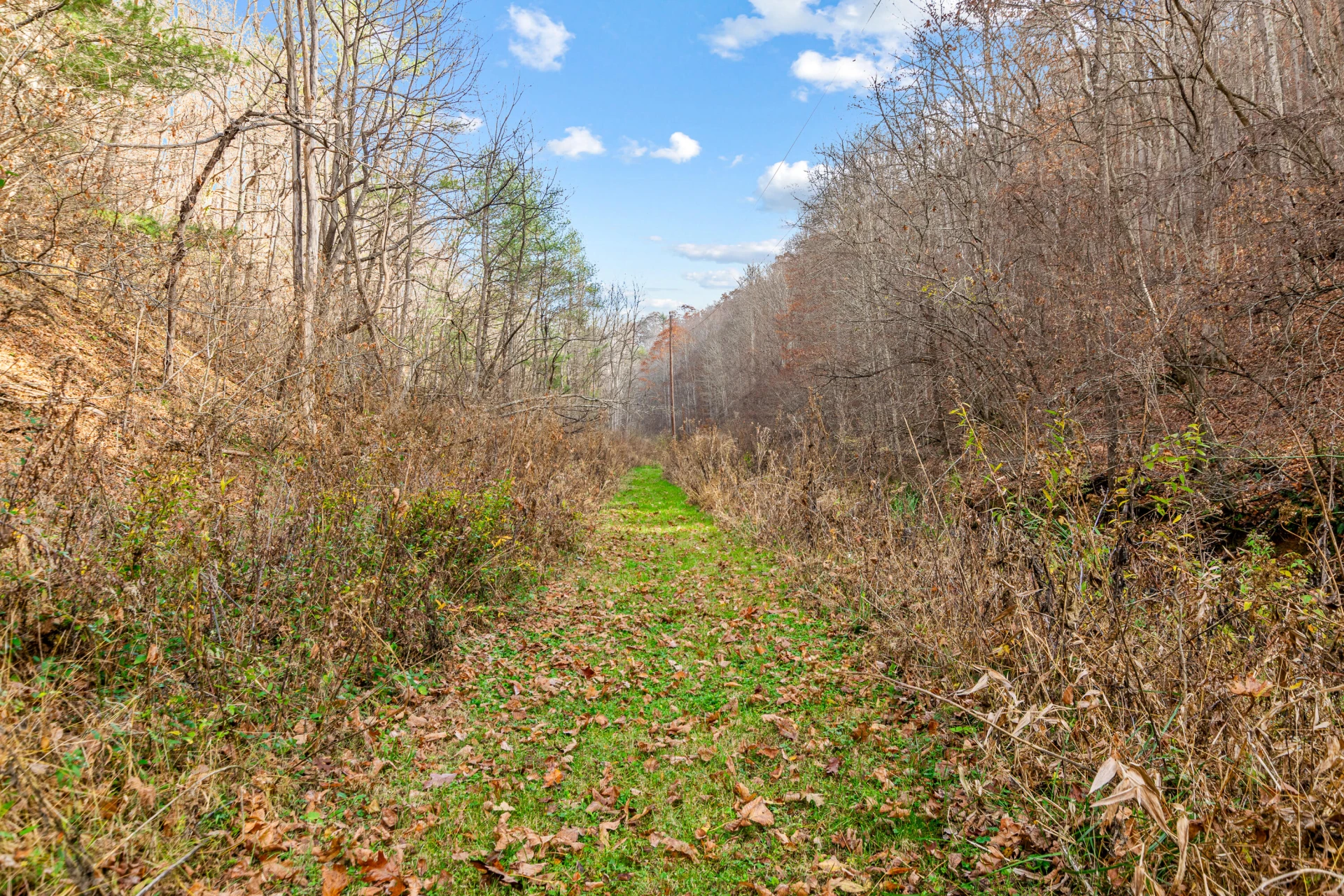 3210 Nolley RD - Photo 66