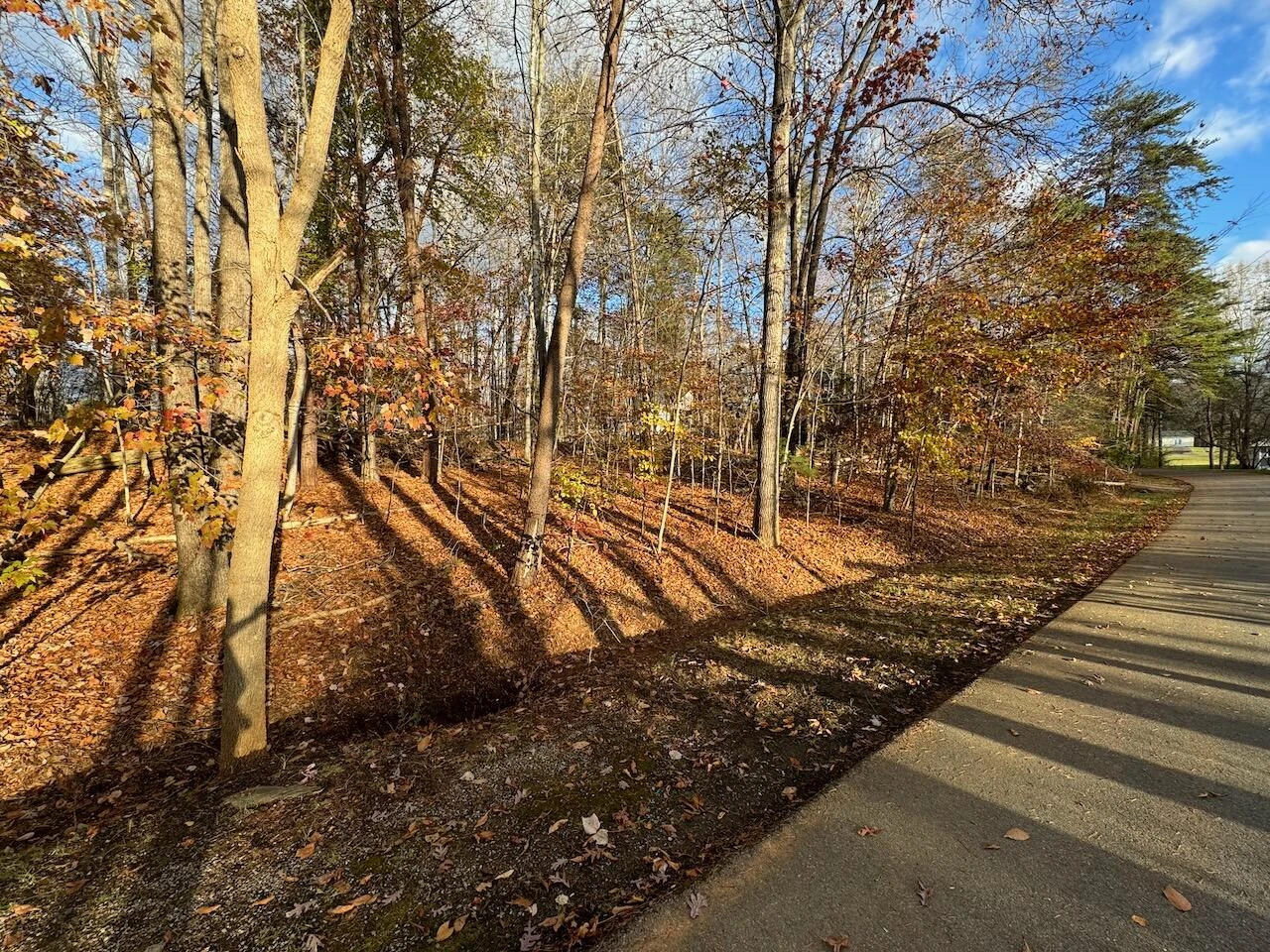 Lot 28 Camelot DR