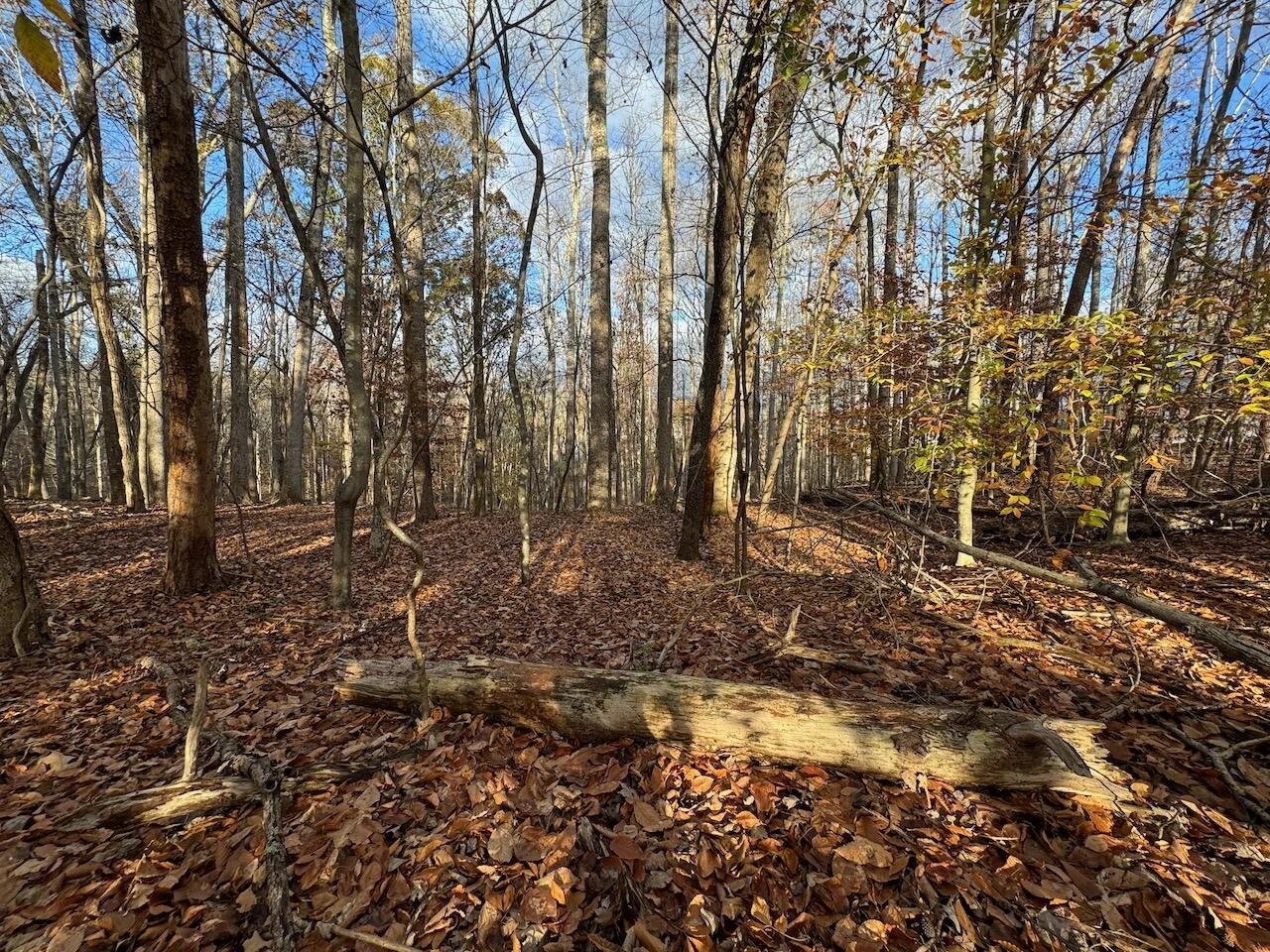 Lot 28 Camelot DR - Photo 2