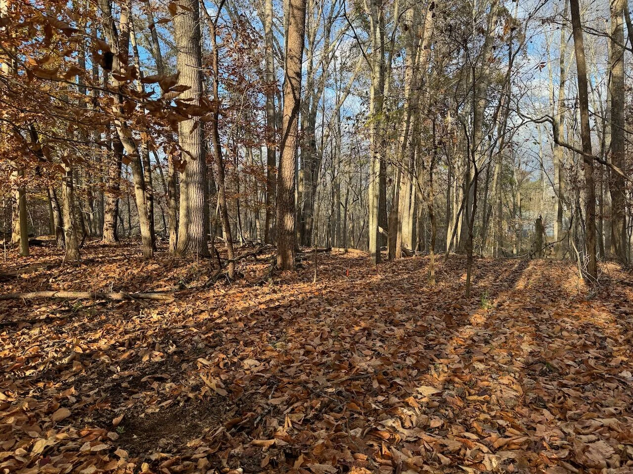 Lot 29 Camelot DR - Photo 2