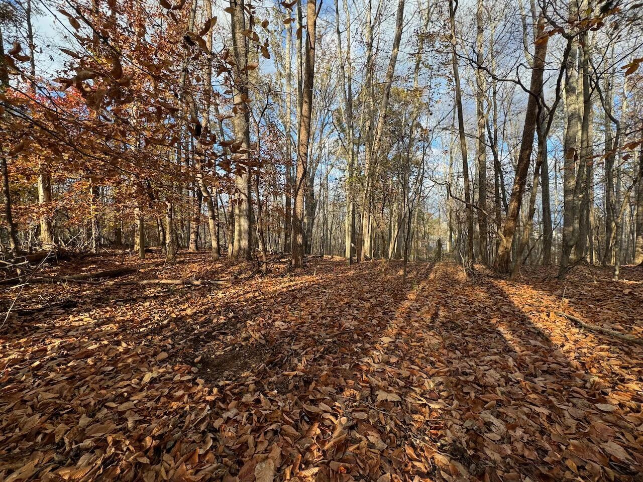 Lot 29 Camelot DR - Photo 3